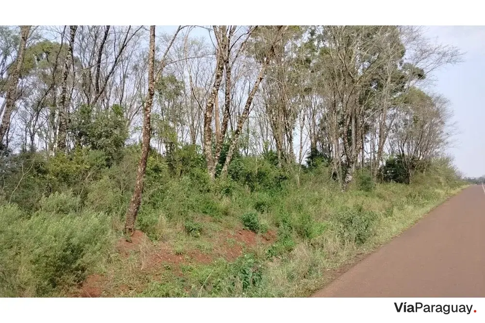 Terreno en venta en Natalio, Itapúa