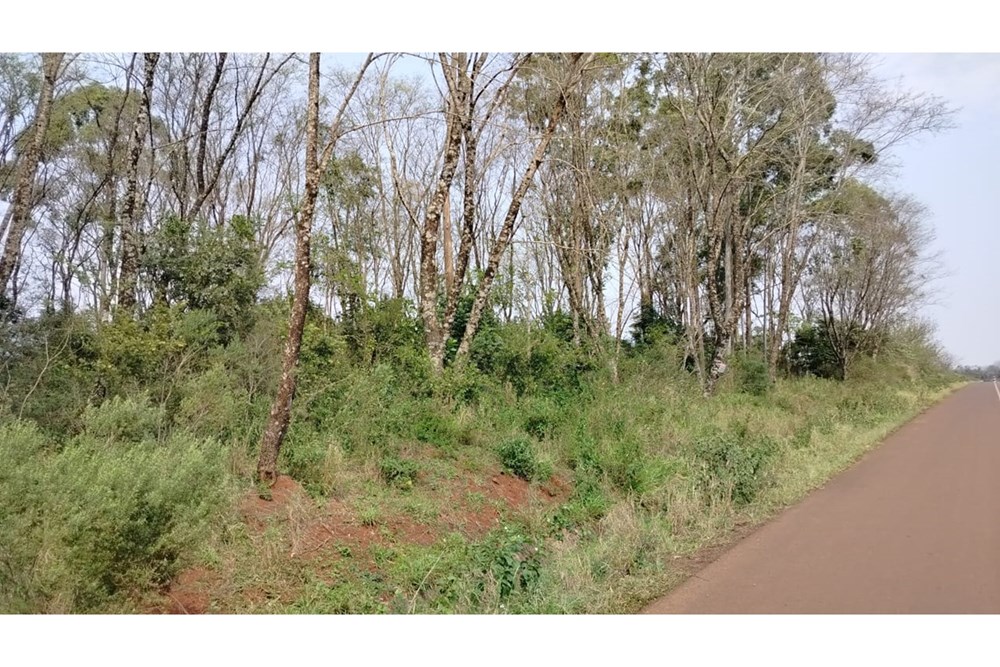 Land for sale in Natalio, Itapúa