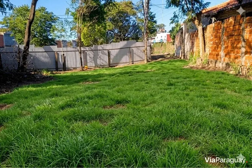 Terreno à venda em Ñemby, bairro Los Naranjos