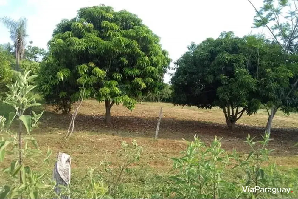 Terreno à venda em Ñu Po'i, Itauguá