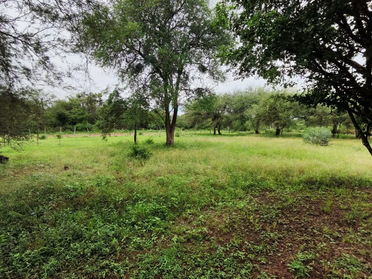 Terreno à venda em Nueva Asunción - Chaco'i, Villa Hayes