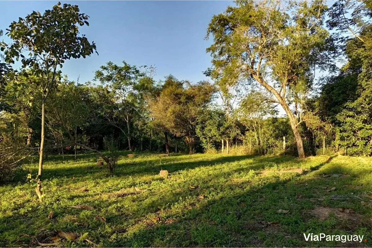 Land for sale in Nueva Colombia, Cordillera