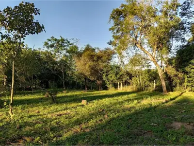 Land for sale in Nueva Colombia, Cordillera