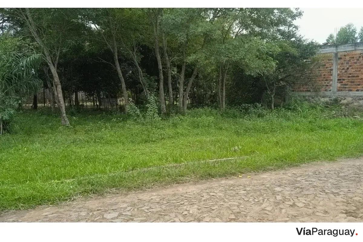 Land for sale in Nueva Colombia, Cordillera