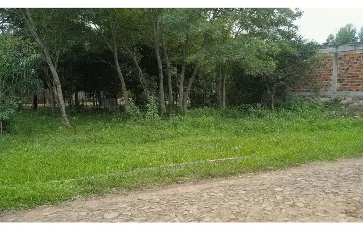 Land for sale in Nueva Colombia, Cordillera