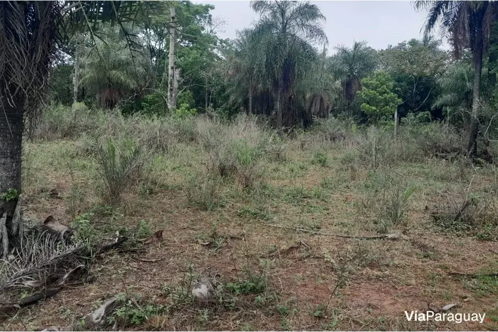 Land for sale in Nueva Colombia, Cordillera