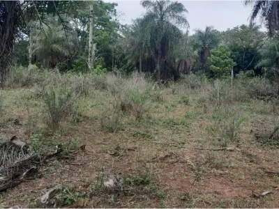 Land for sale in Nueva Colombia, Cordillera