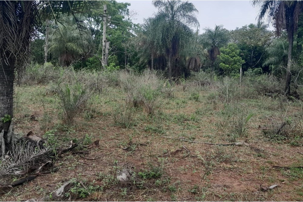 Terreno en venta en Nueva Colombia, Cordillera