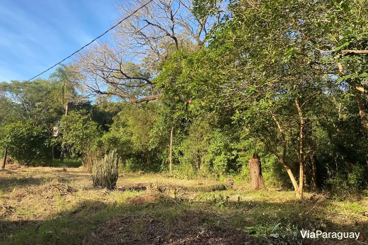 Terreno à venda em Nueva Esperanza, Encarnação