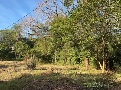 Terreno à venda em Nueva Esperanza, Encarnação