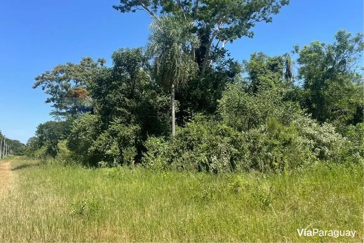 Land for sale in Nueva Italia, Central