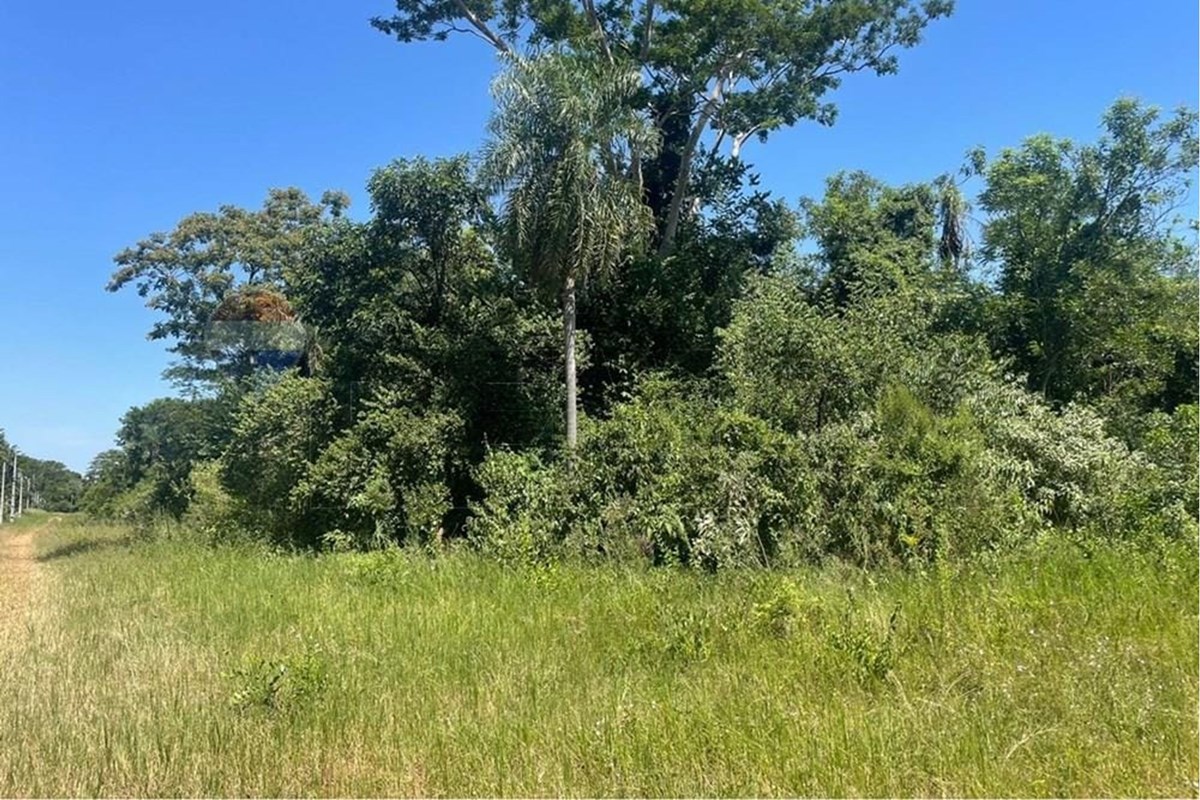 Land for sale in Nueva Italia, Central