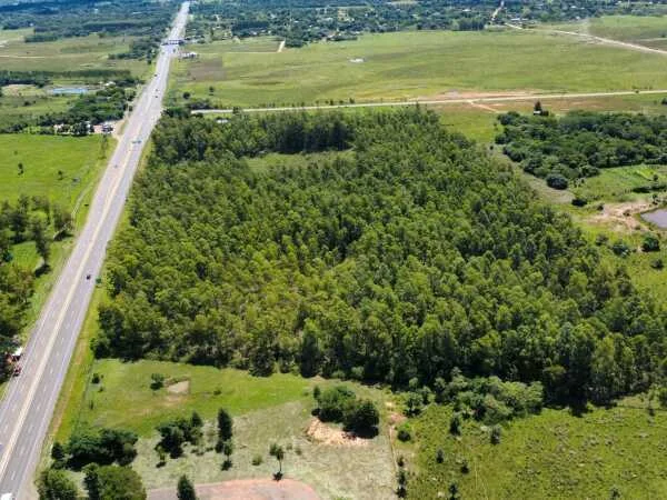 Land for sale in Nueva Londres, Caaguazú — 10 hectares on Ruta PY-02