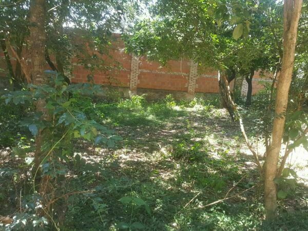 Terreno en venta en Paraguarí, barrio Chololo