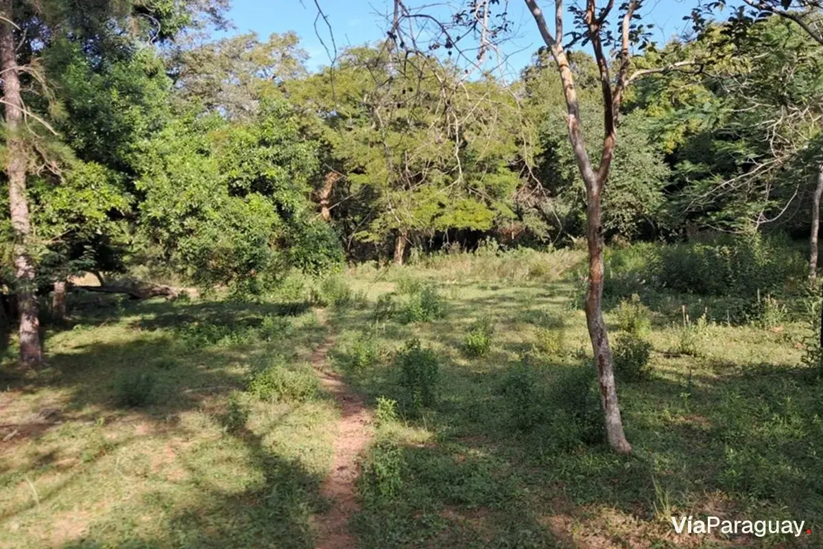 Terreno à venda em Patiño, Itauguá, 21.588 m²