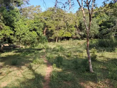 Terreno à venda em Patiño, Itauguá, 21.588 m²