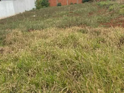 Terreno en venta en Pedro Juan Caballero, Amambay 1