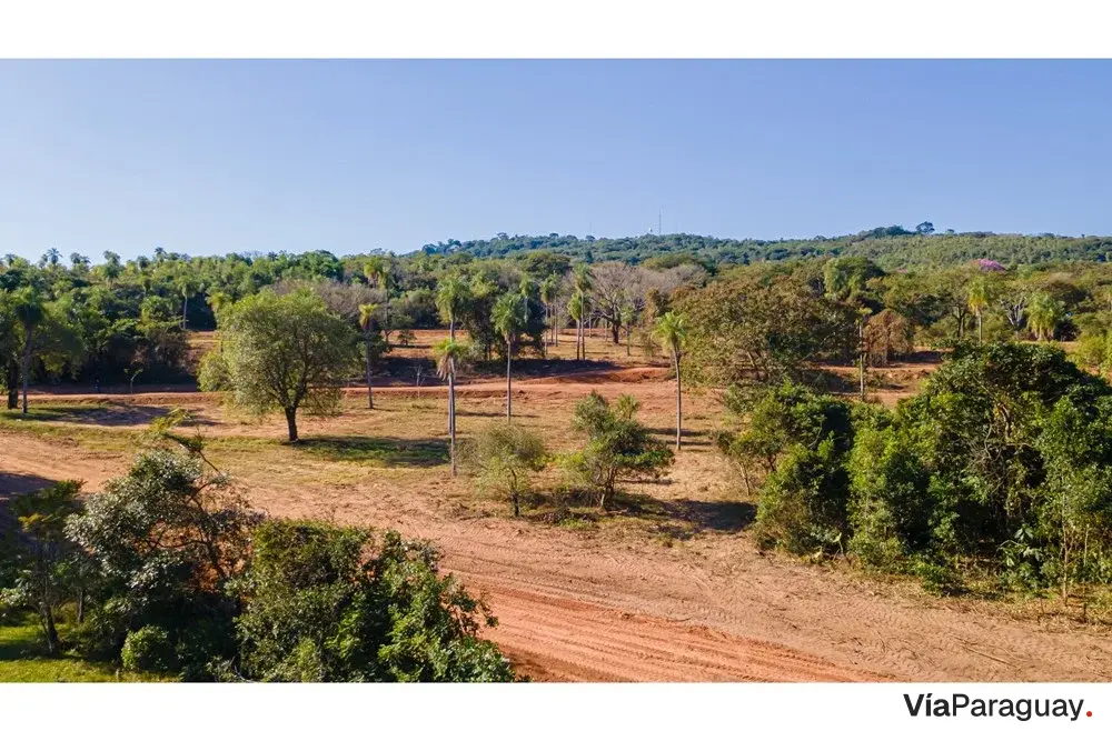 Land for sale in Pedrozo, Ypacaraí, 360 sq m