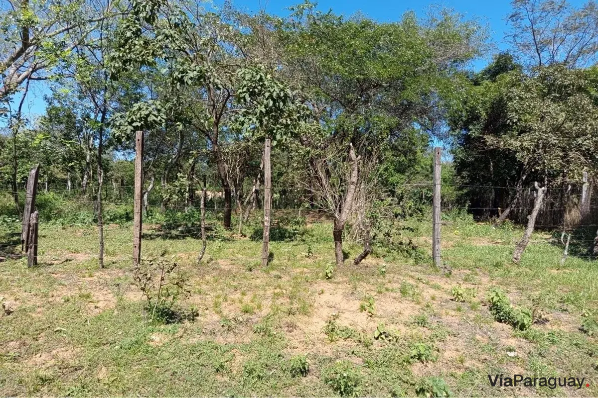 Terreno à venda em Pedrozo, Ypacaraí