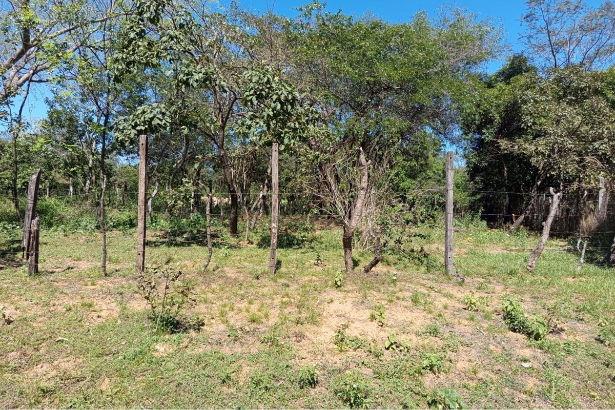 Terreno à venda em Pedrozo, Ypacaraí
