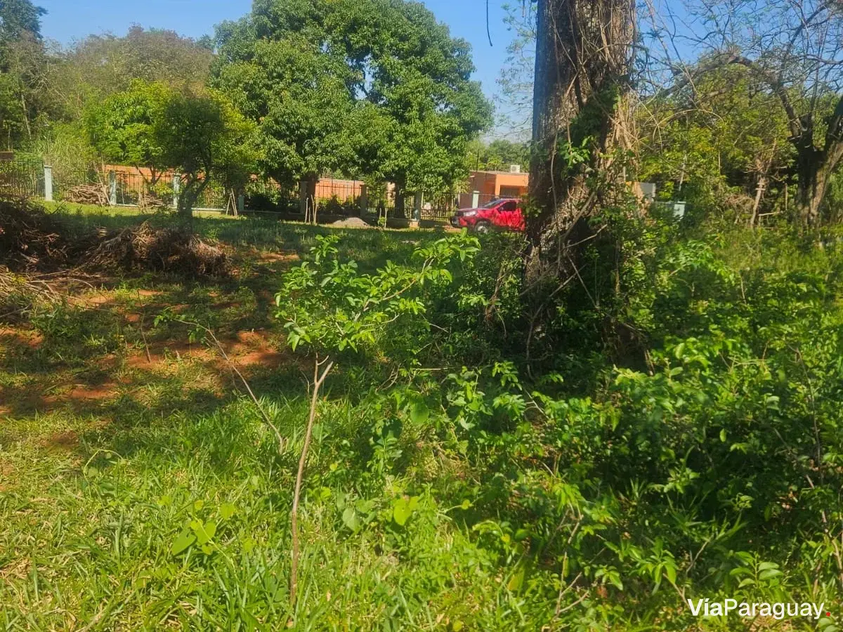 Terreno à venda em Pindolo, Areguá