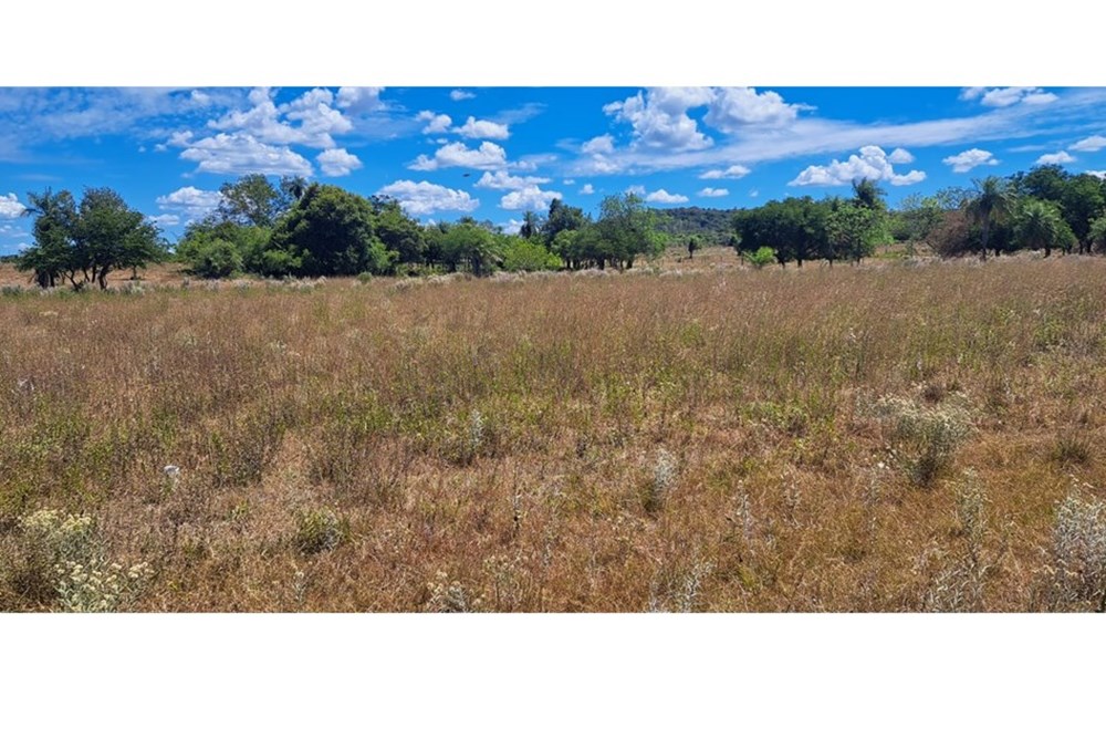 Terreno en venta en Pirayú, Paraguarí