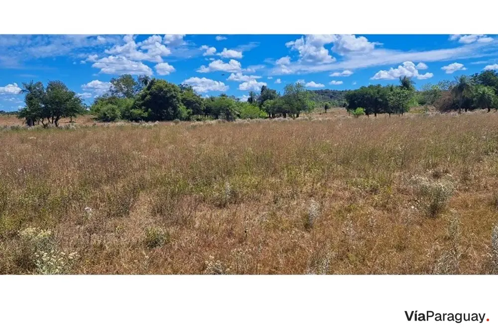 Land for sale in Pirayú, Paraguarí
