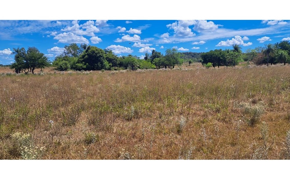 Terreno en venta en Pirayú, Paraguarí