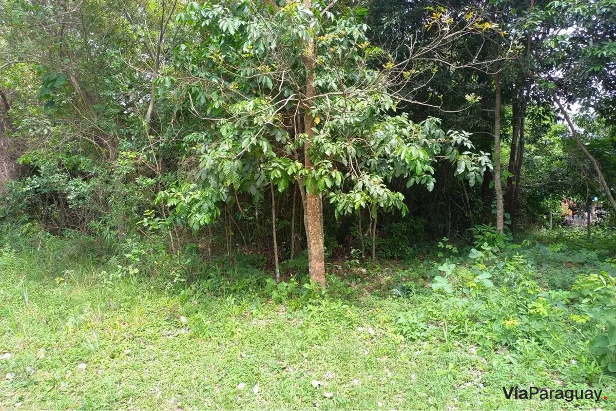 Land for sale in Piribebuy, Cordillera