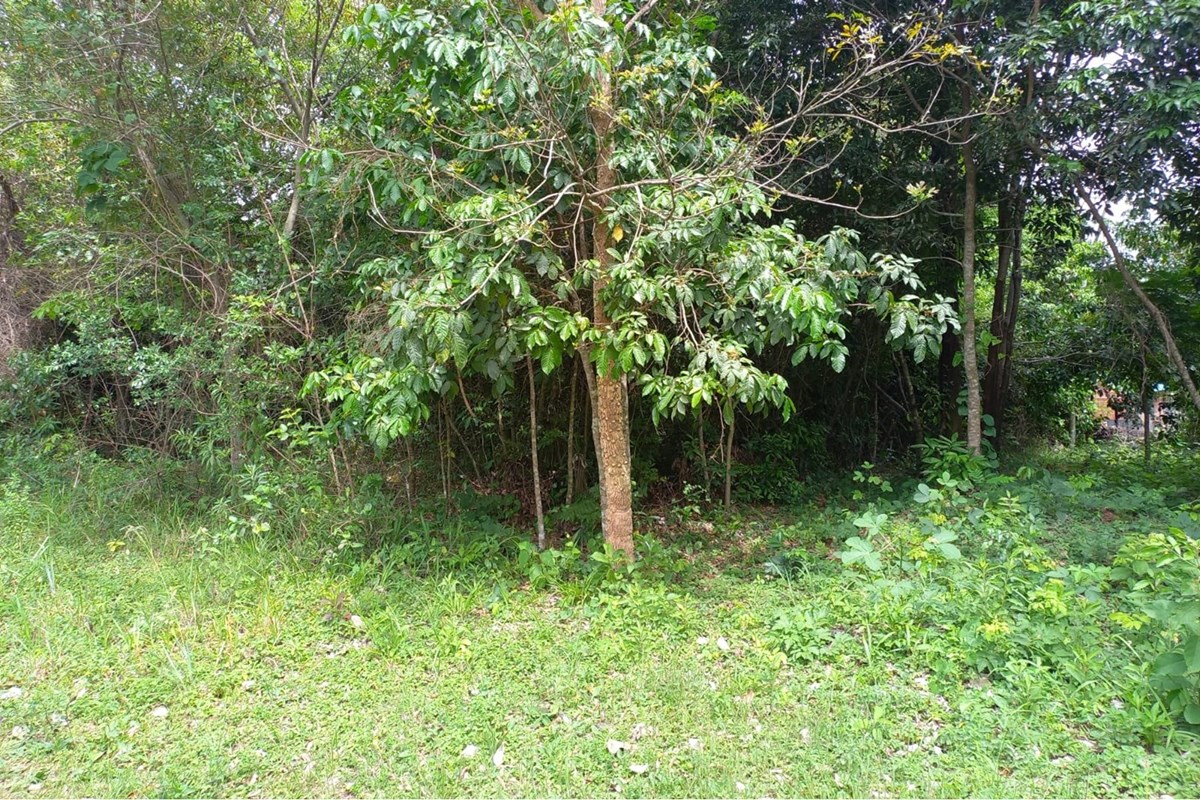 Terreno à venda em Piribebuy, Cordillera