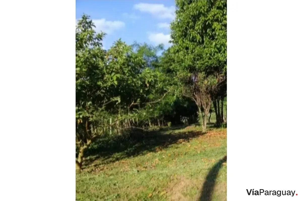 Terreno en venta en Piribebuy, Cordillera