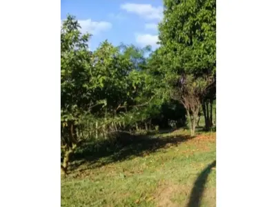 Terreno en venta en Piribebuy, Cordillera