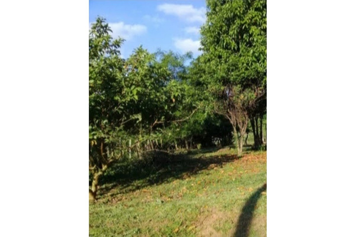 Terreno à venda em Piribebuy, Cordillera