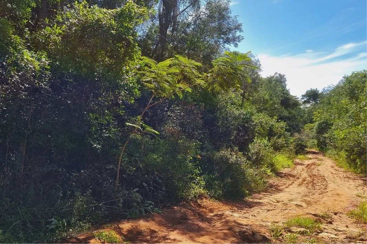 Terreno à venda em Piribebuy, Cordillera