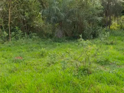 Terreno en venta en Potrero Poi, Caacupé