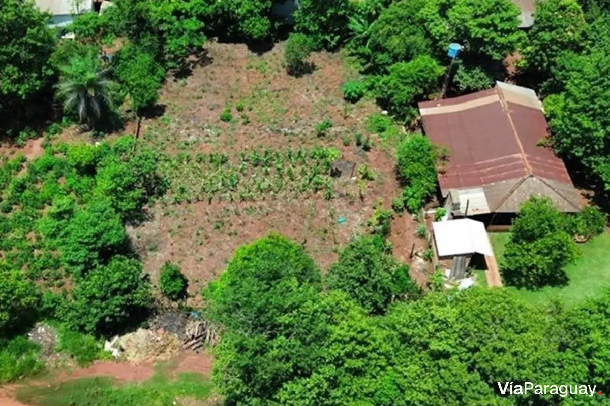 Terreno en venta en Presidente Franco, Alto Paraná