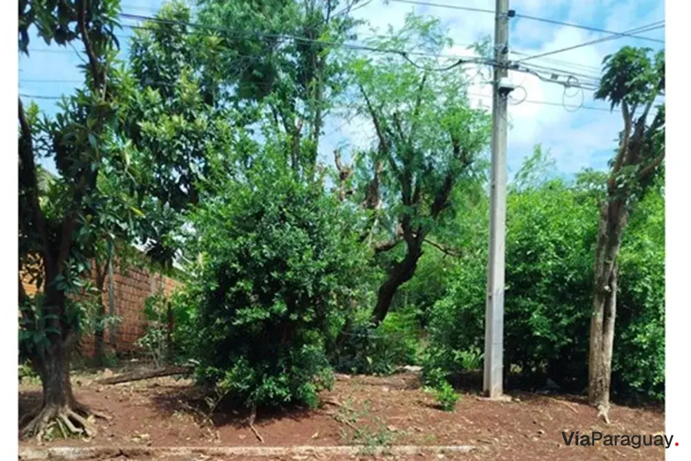 Terreno en venta en Presidente Franco, Alto Paraná