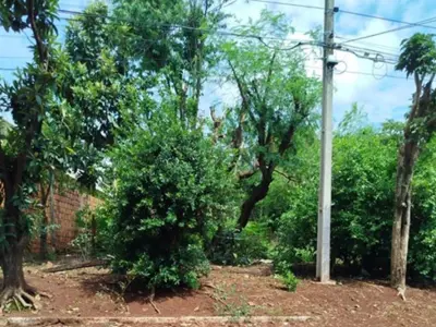 Terreno en venta en Presidente Franco, Alto Paraná