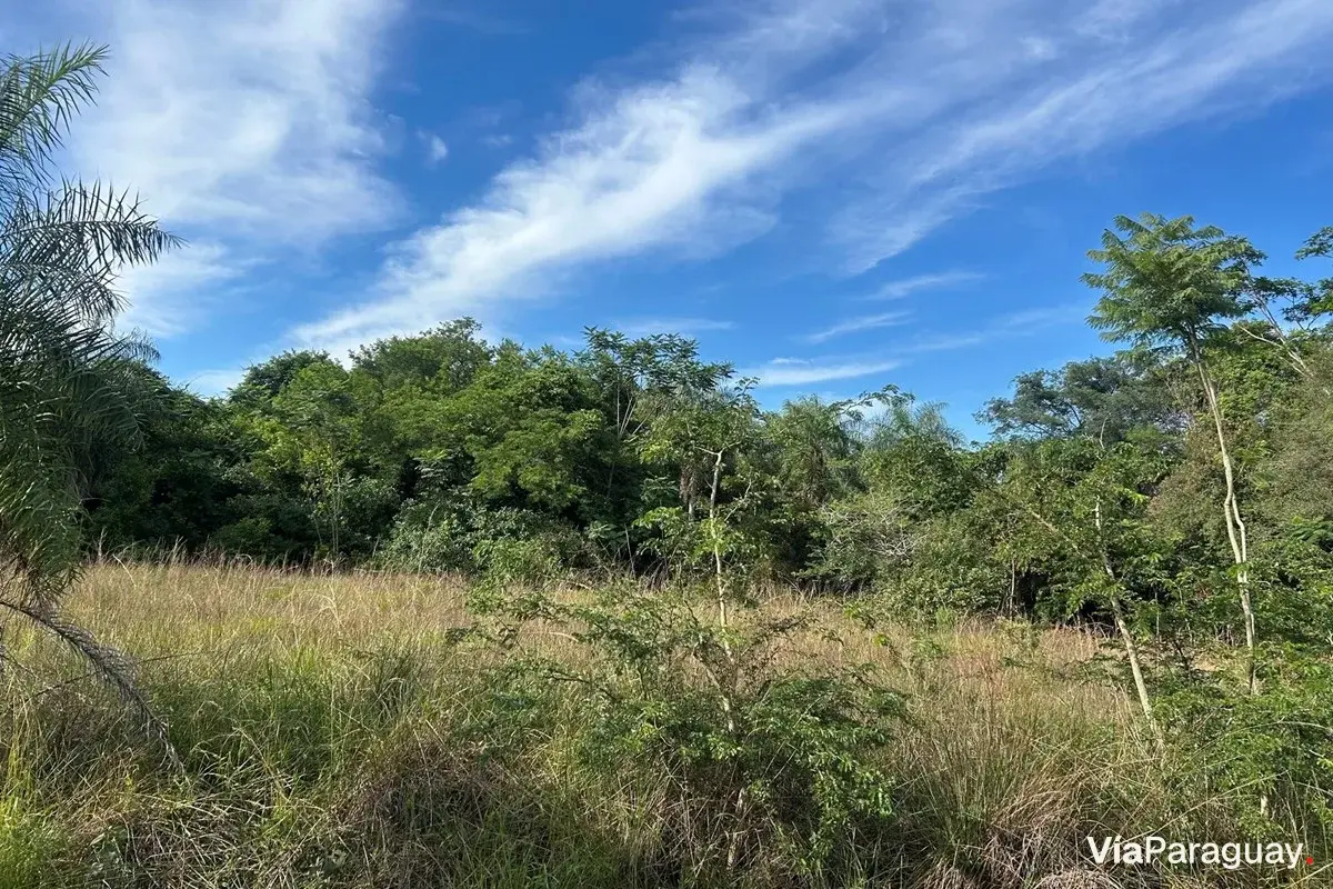 Terreno en venta en Puerta del Lago, San Bernardino