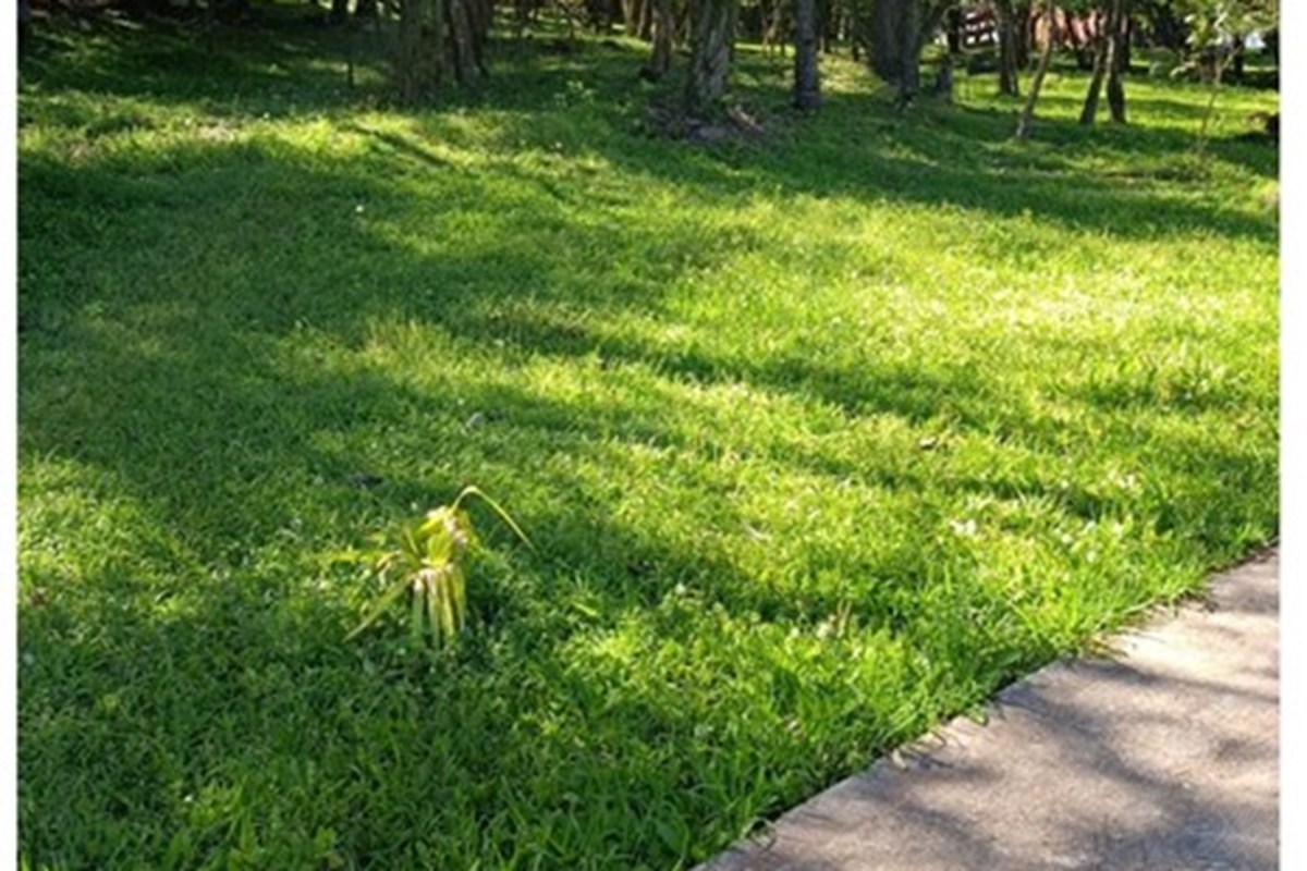 Terreno en venta en Residencial Riviera, San Juan del Paraná