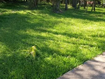 Terreno en venta en Residencial Riviera, San Juan del Paraná