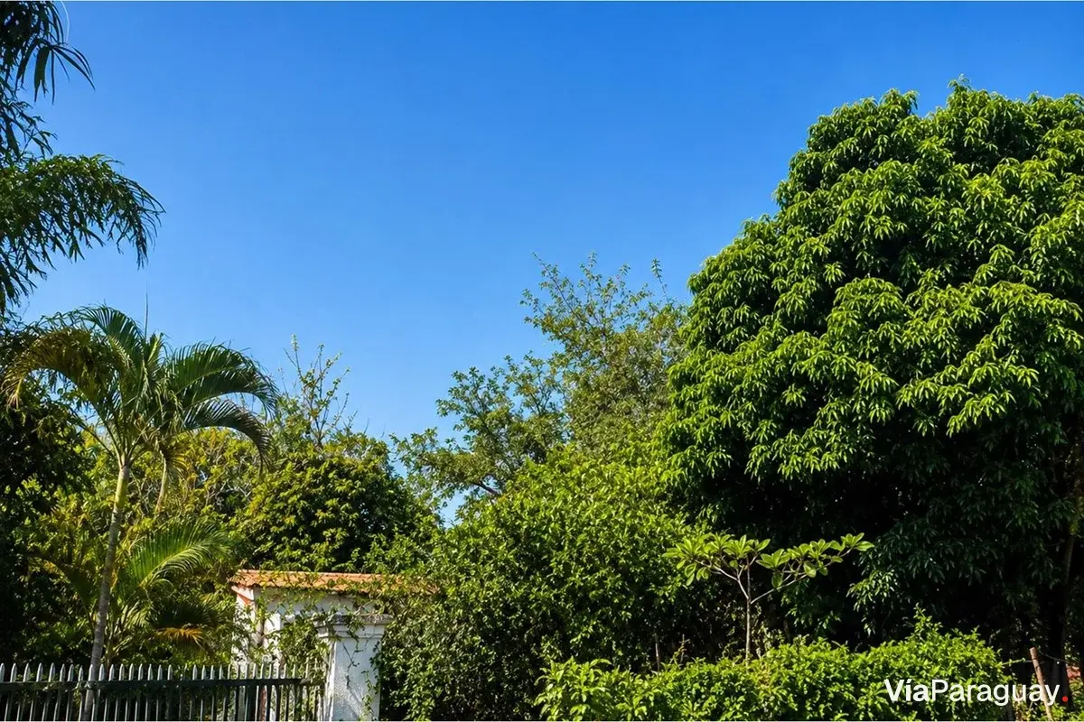 Land for sale in Rincón del Peñón, Limpio