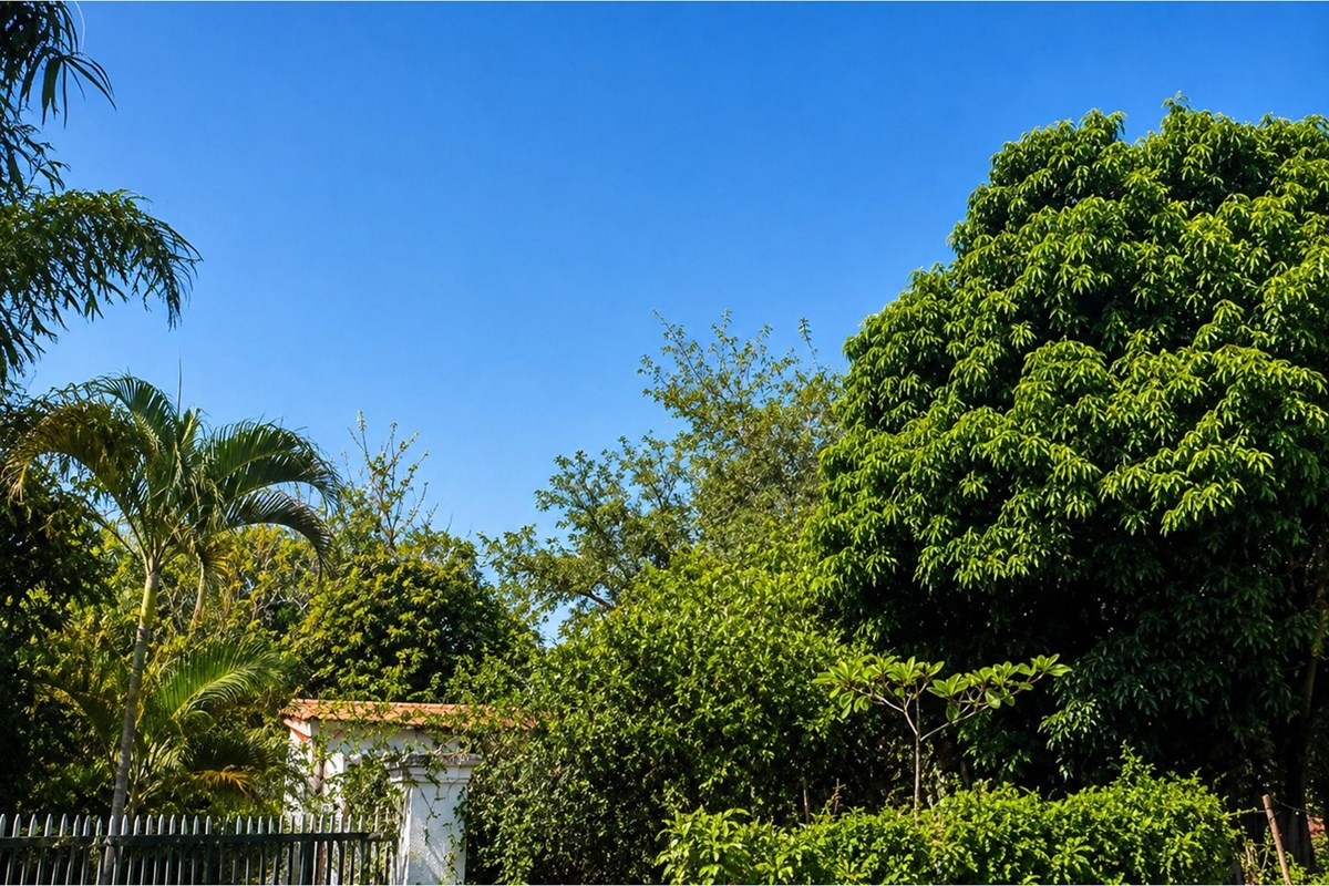 Terreno en venta en Rincón del Peñón, Limpio