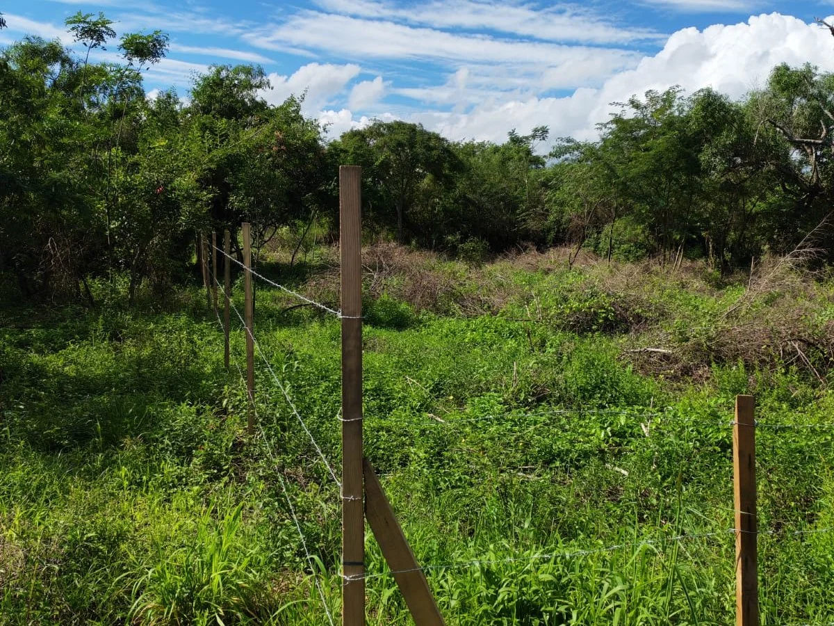 Terreno à venda em Rincón Loma-I, Guarambaré