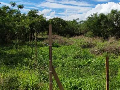 Terreno à venda em Rincón Loma-I, Guarambaré