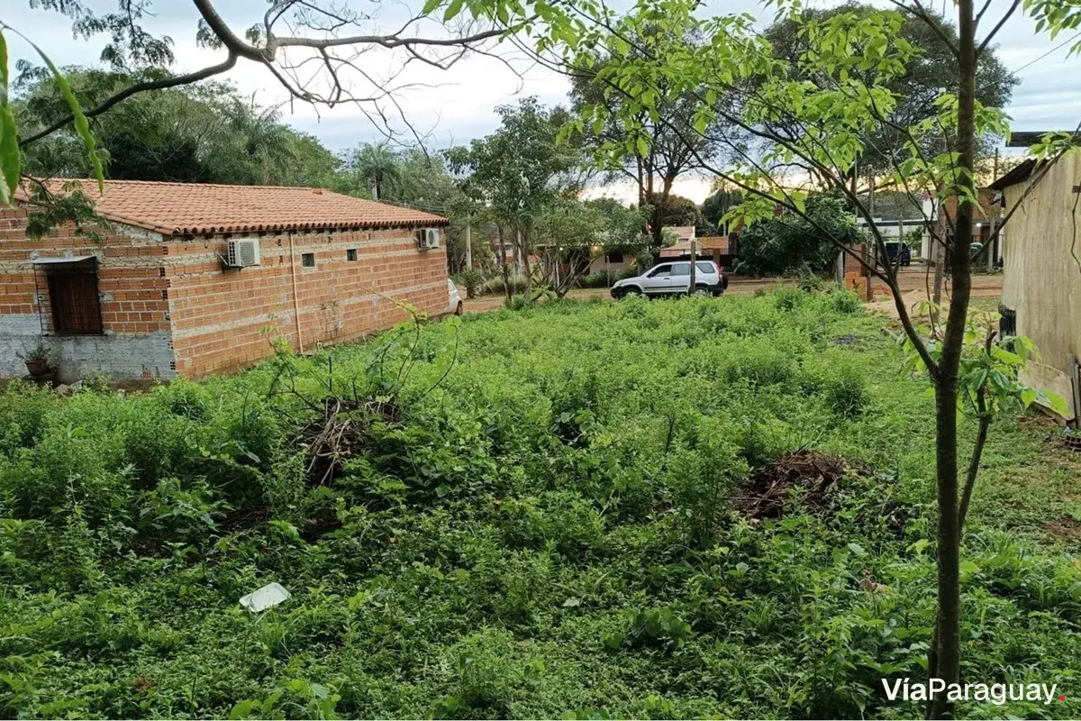 Terreno à venda em Salado, Limpio, Central