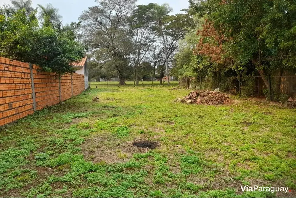 Land for sale in Salado, Limpio