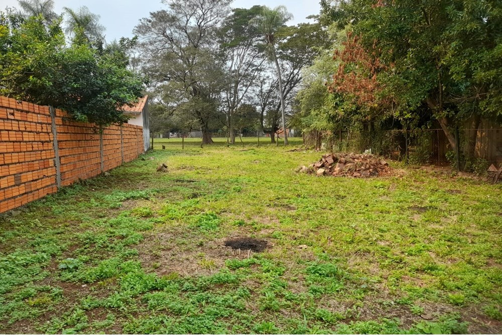 Terreno à venda em Salado, Limpio