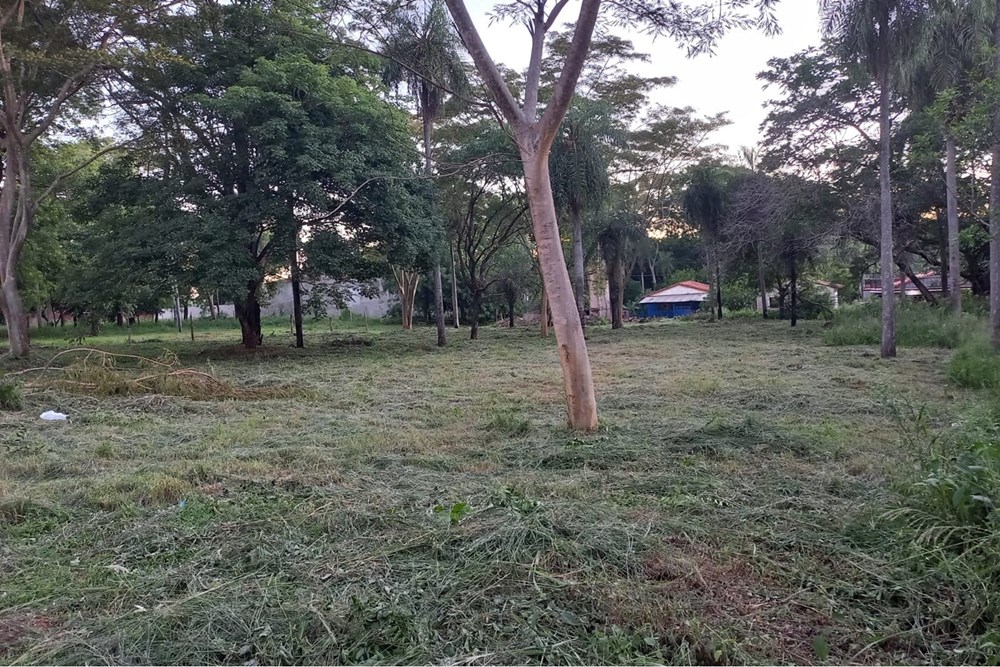 Terreno en venta en San Antonio, Central