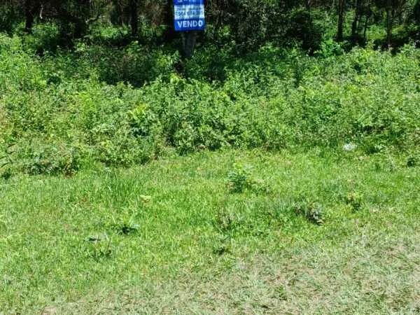 Terreno à venda em San Bernardino | 1.440 m², 4 lotes